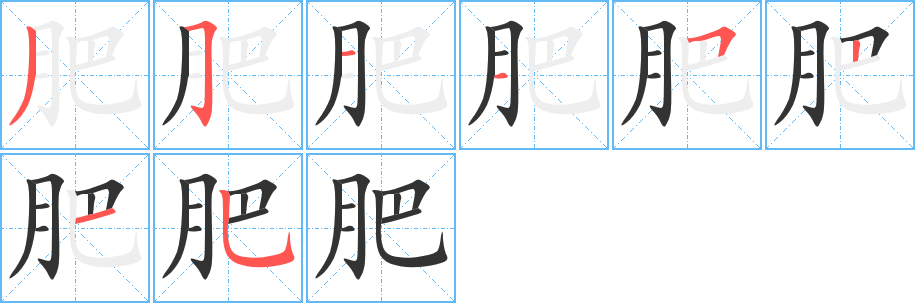 肥的笔顺分步演示