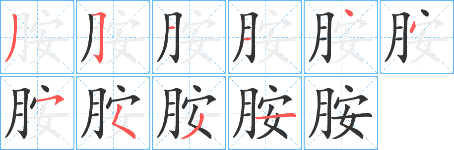 胺的笔顺分步演示