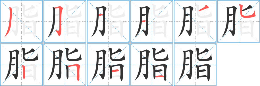 脂的笔顺分步演示