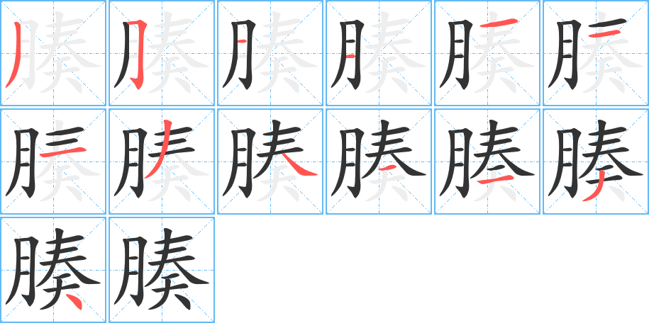 腠的笔顺分步演示