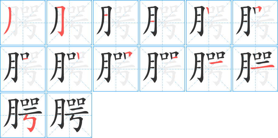 腭的笔顺分步演示