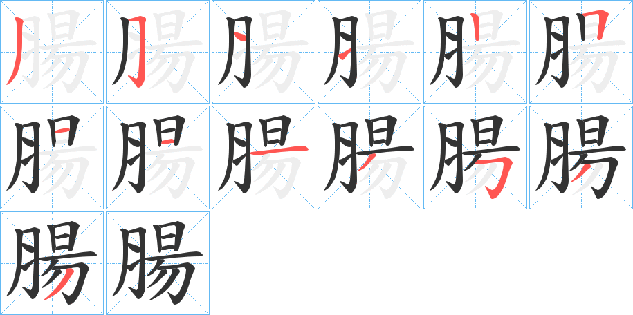 腸的笔顺分步演示