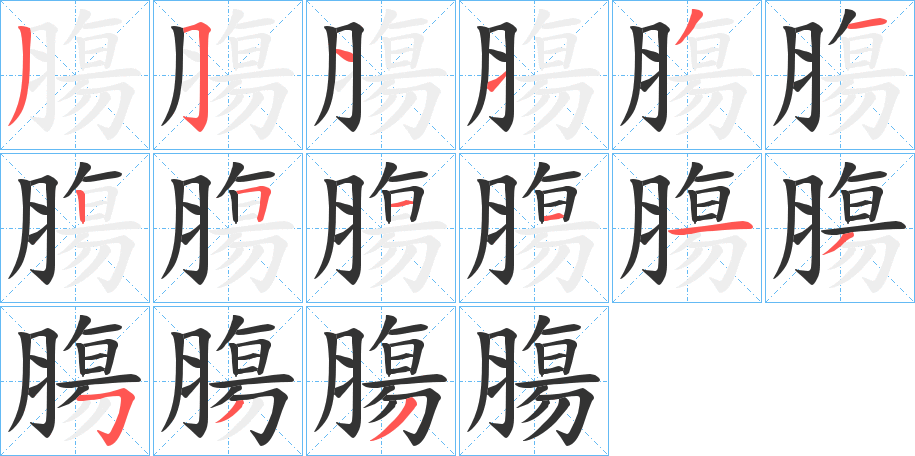 膓的笔顺分步演示