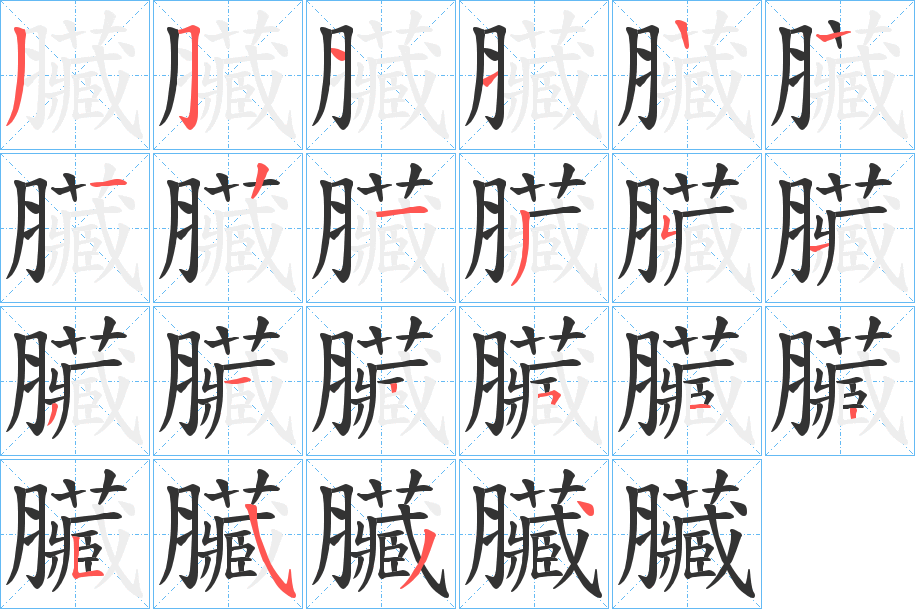 臟的笔顺分步演示