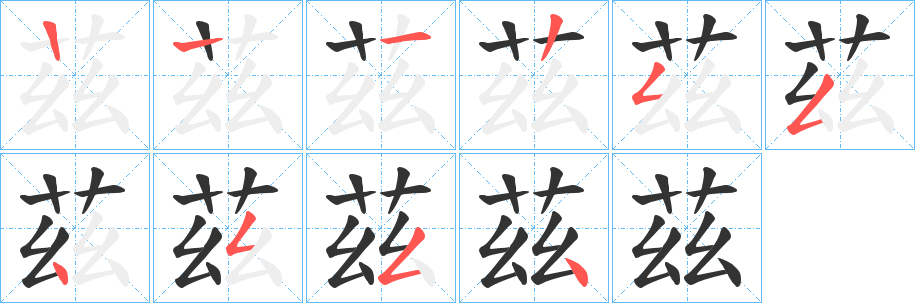 茲的笔顺分步演示