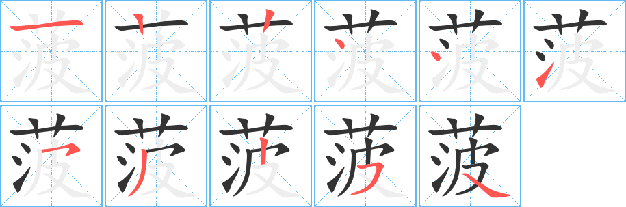 菠的笔顺分步演示