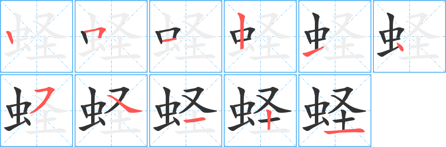 蛏的笔顺分步演示