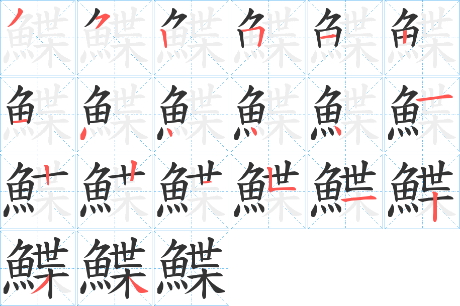 鰈的笔顺分步演示