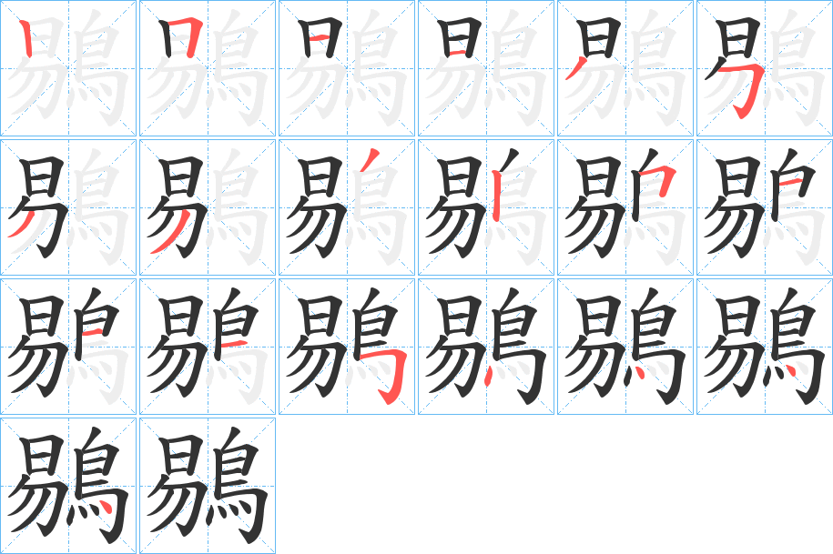 鶍的笔顺分步演示